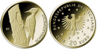 20 Euro Schwarzspecht Deutschland 2021